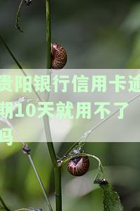 贵阳银行信用卡逾期10天就用不了吗为什么？逾期半年利息要多少？