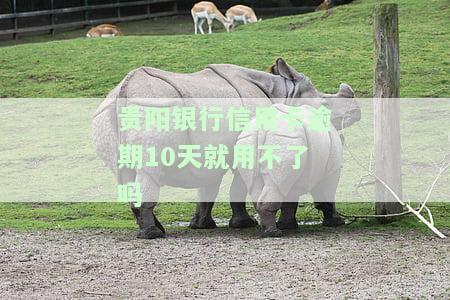 贵阳银行信用卡逾期10天后如何处理？