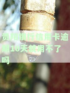 贵阳银行信用卡逾期10天就用不了吗