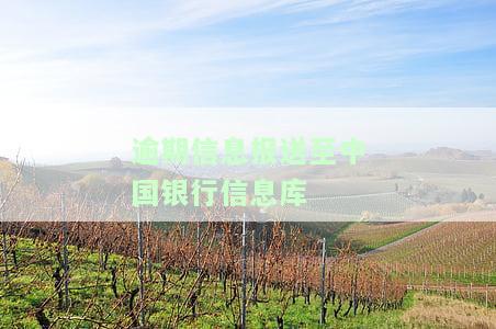 网贷逾期中国银行发信息的影响及相关解读