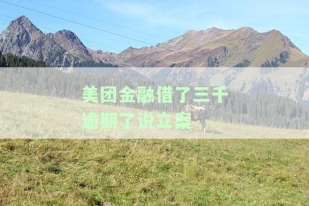 美团金融贷款逾期三个月会被起诉吗及应对措