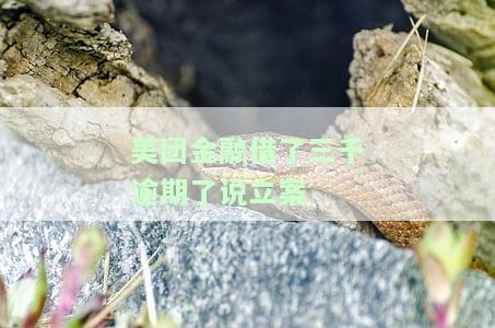 美团金融逾期，当地公安立案真实性确认及应对措