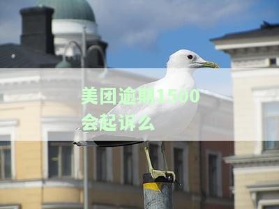 欠美团4000多块钱逾期会被起诉吗？怎么办？