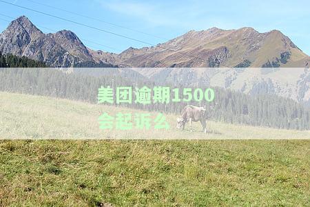 美团逾期1500会起诉么