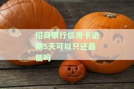 招行信用卡5天忘了还款，如何联系客服处理？