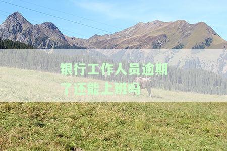 银行工作人员逾期会怎么样处理及处罚？
