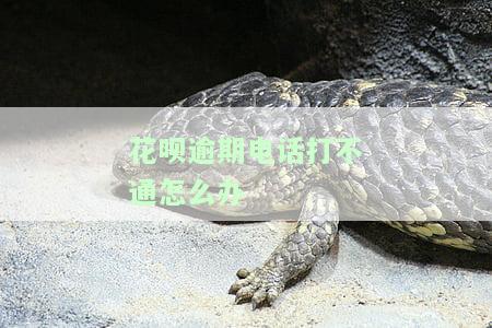 花呗逾期电话打不通怎么办呀，怎么解决投诉？