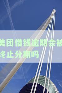美团借款逾期了现在无法一次还清可以分期还吗