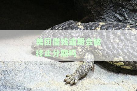美团借钱逾期会被止分期吗