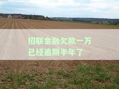 招联金融逾期一万多一年多了会被起诉吗？