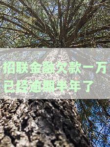 招联金融欠款一万已经逾期半年了