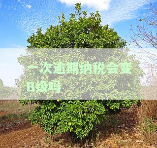 逾期纳税有什么影响及对征信的影响？