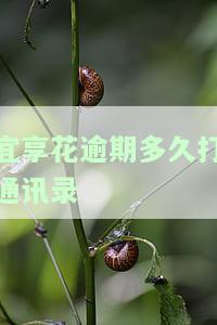 宜享花逾期多久爆通讯录及相应处置措