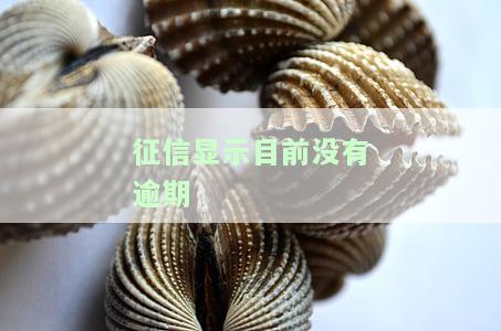 征信显示目前没有逾期