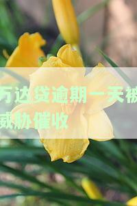 万达贷逾期一天被威胁催收会怎么样？