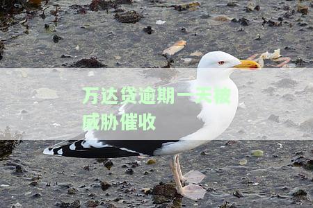 万达贷逾期一天被威胁催收