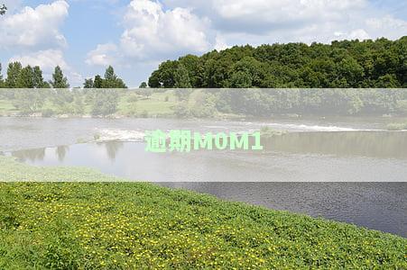 逾期m0和m1的区别及逾期m0的意思