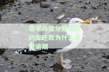 借呗逾期后再分期成功，为什么还要一次性结清欠款？