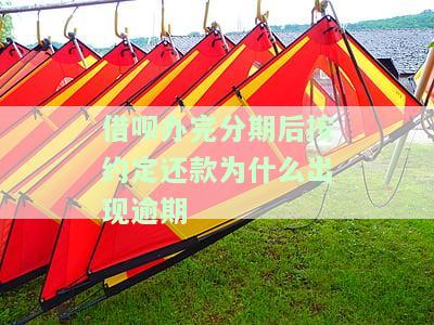 借呗已在分期成功，如何还款？