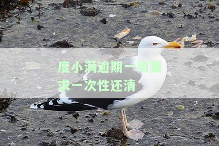 度小满逾期1天会怎么样，逾期2天会有影响吗？