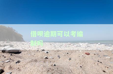 借呗逾期能考公务员吗？