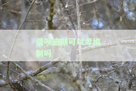 借呗逾期能考驾驶证吗