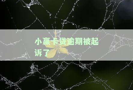 小赢卡贷逾期被起诉后果