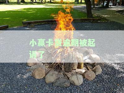 小赢卡贷起诉我，如何应诉及解决还给第三方的问题？