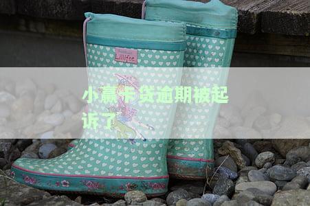 小赢卡贷逾期后发消息说已被起诉并出庭