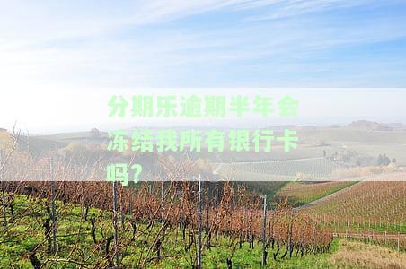分期乐逾期半年会冻结我所有银行卡吗?
