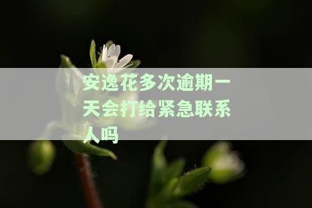 安逸花逾期一天对征信有影响吗？逾期费用后果及是否能继续借款？