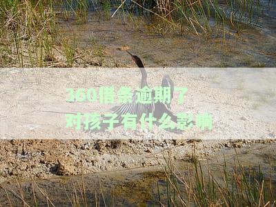 逾期会怎么样？可以逾期多久上征信吗？逾期了怎么办？