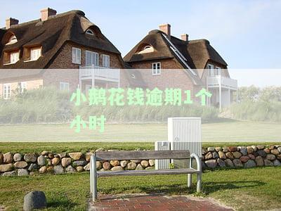 小鹅花钱逾期一个小时会上征信吗?