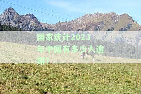 2020年中国有多少人逾期贷款