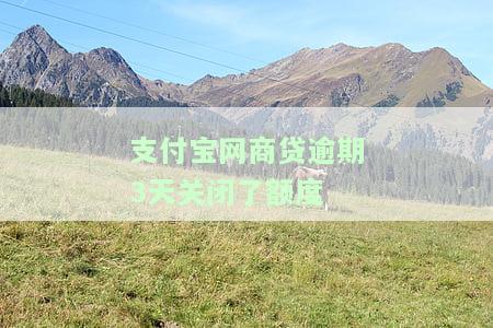 支付宝网商贷逾期3天关闭了额度
