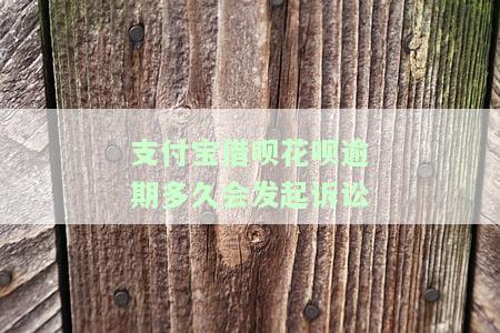 支付宝借呗花呗逾期多久会发起诉讼