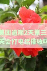 美团逾期2天第三天会打电话催收吗及应对方法