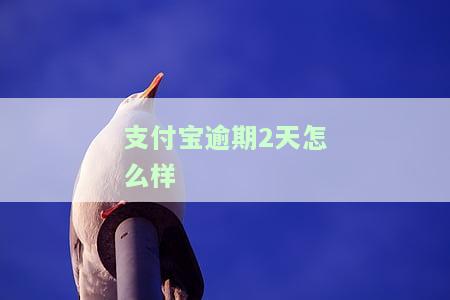 支付宝逾期2天会上征信吗