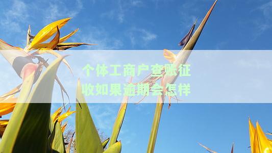 个体工商户查账征收如果逾期会怎样