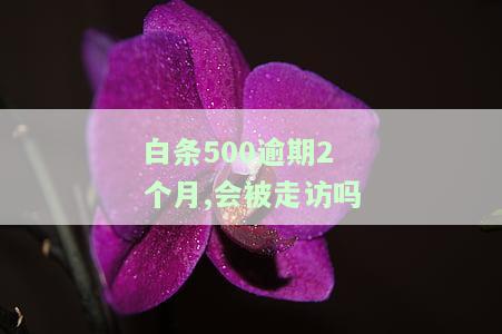白条500逾期2个月，会被走访吗？如何处理？