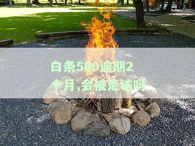 白条逾期几百块两个月会怎样处理？