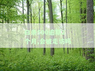 白条500逾期2个月,会被走访吗