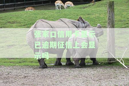 张家口信用卡显示已逾期征信上会显示吗