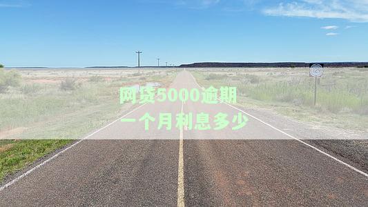 网贷5000逾期一个月利息多少钱合法且合适？