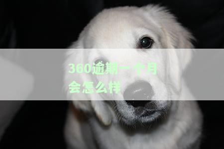 逾期一个月会怎么样逾期几天上征信