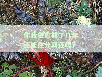 你我贷逾期了几年，还能分期还吗？