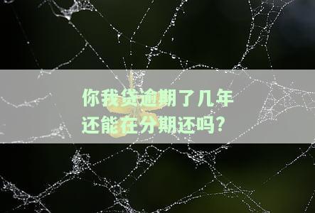 你我贷逾期几年分期还怎么办？