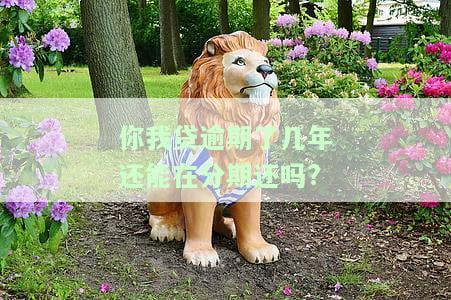 你我贷逾期两年了是不是不需要还了，起诉我可以信吗？