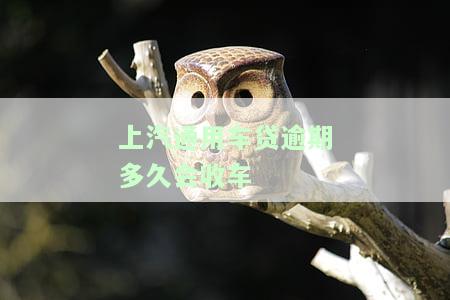 上汽通用车贷逾期一个月违约金多少，逾期费用怎么算？