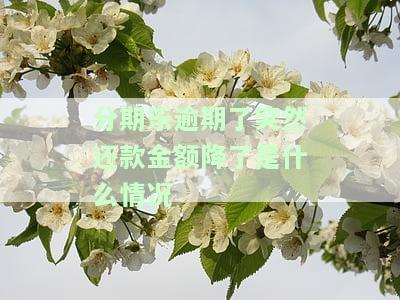分期乐逾期一天还了钱为何无法借款？